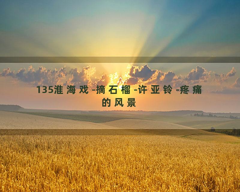 135淮海戏-摘石榴-许亚铃-疼痛的风景