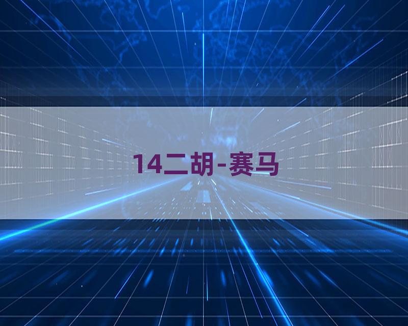 14二胡-赛马