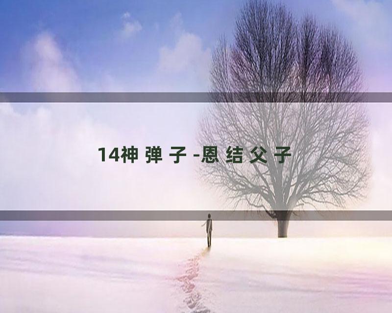 14神弹子-恩结父子