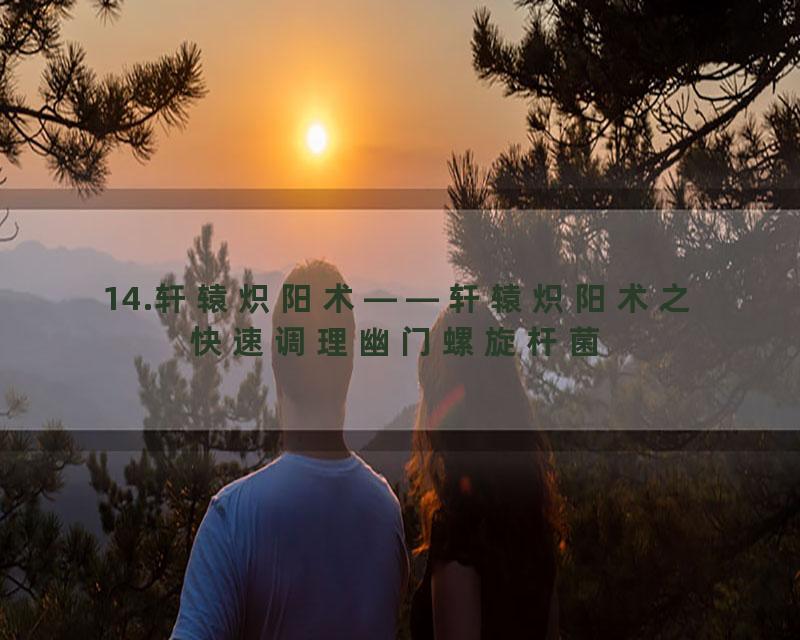 14.轩辕炽阳术——轩辕炽阳术之快速调理幽门螺旋杆菌