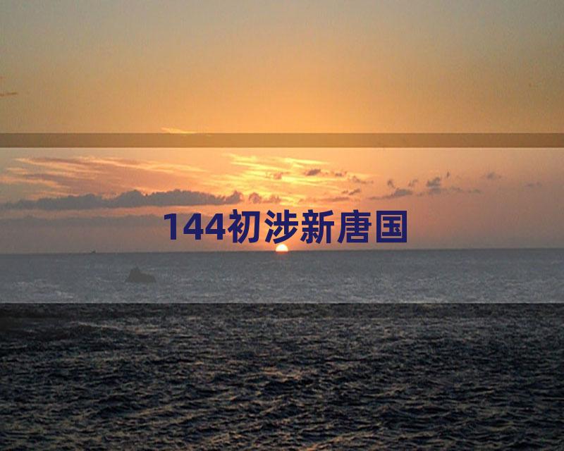 144初涉新唐国