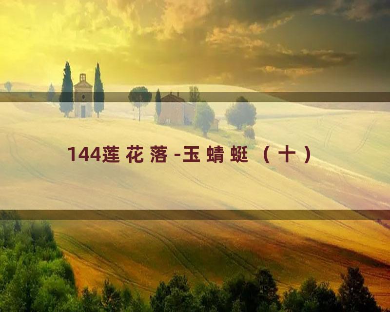 144莲花落-玉蜻蜓（十）