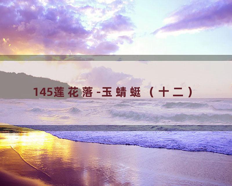 145莲花落-玉蜻蜓（十二）