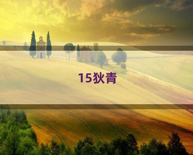 15狄青