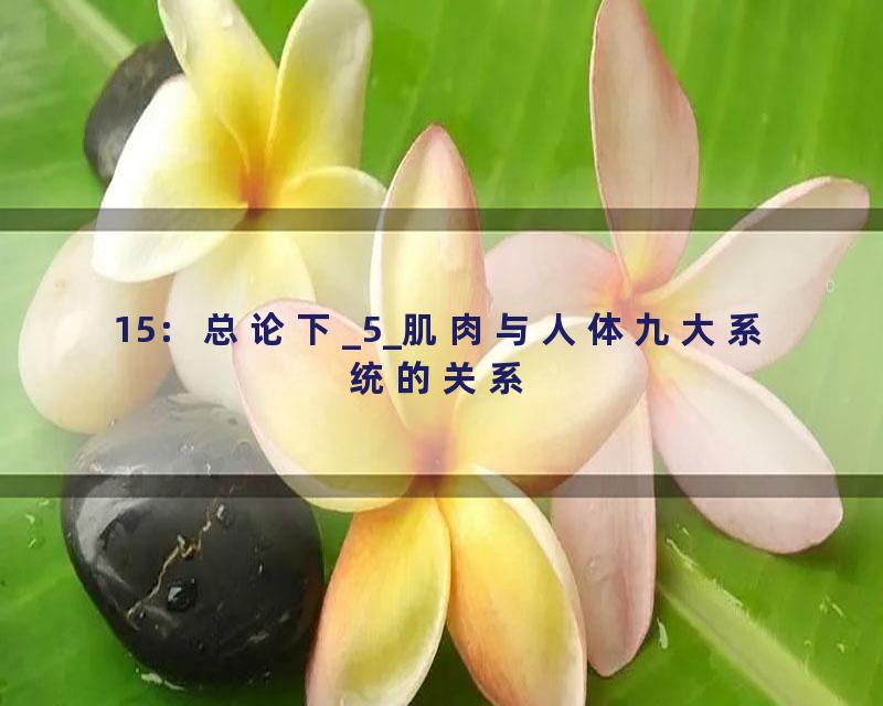 15：总论下_5_肌肉与人体九大系统的关系