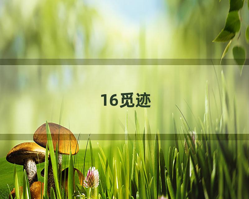 16觅迹