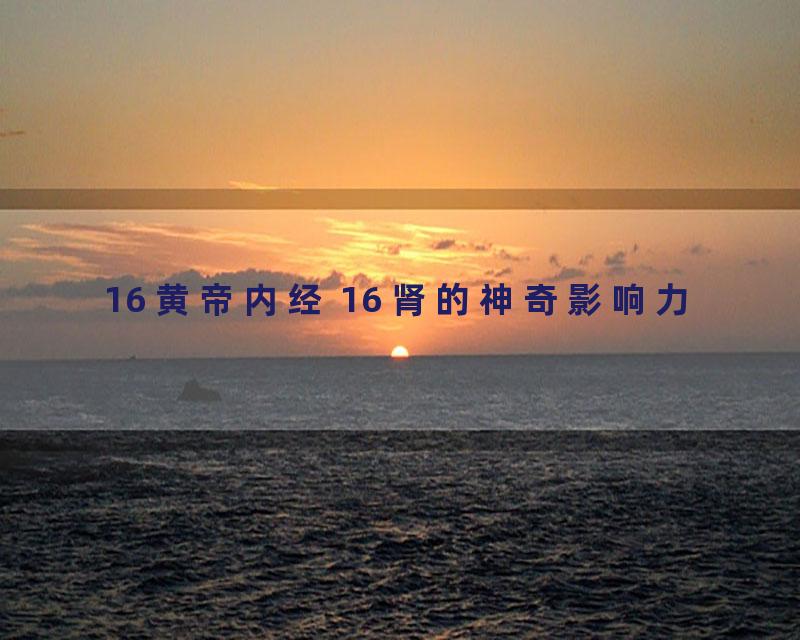 16 黄帝内经 16 肾的神奇影响力