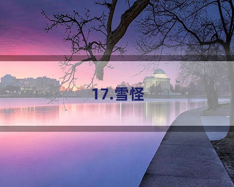 17.雪怪