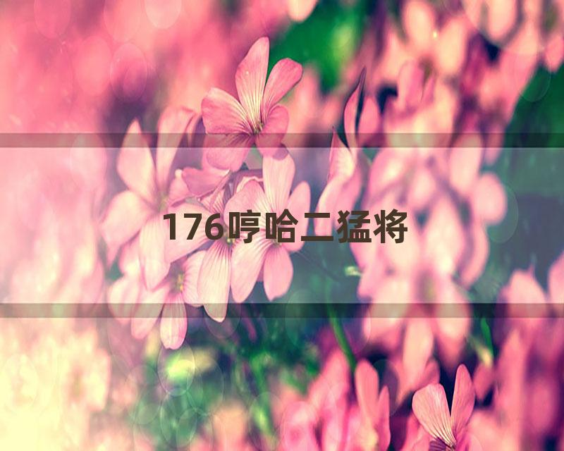 176哼哈二猛将
