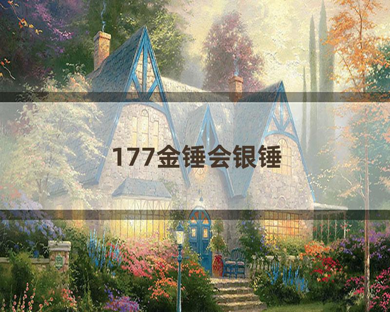 177金锤会银锤