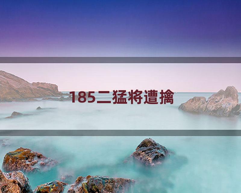 185二猛将遭擒