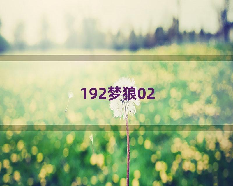 192梦狼02