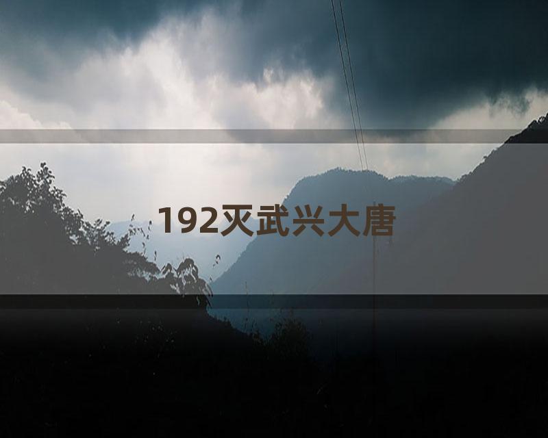 192灭武兴大唐