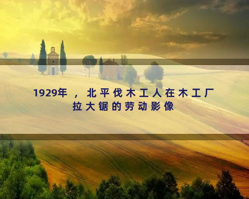 1929年 ，北平伐木工人在木工厂拉大锯的劳动影像