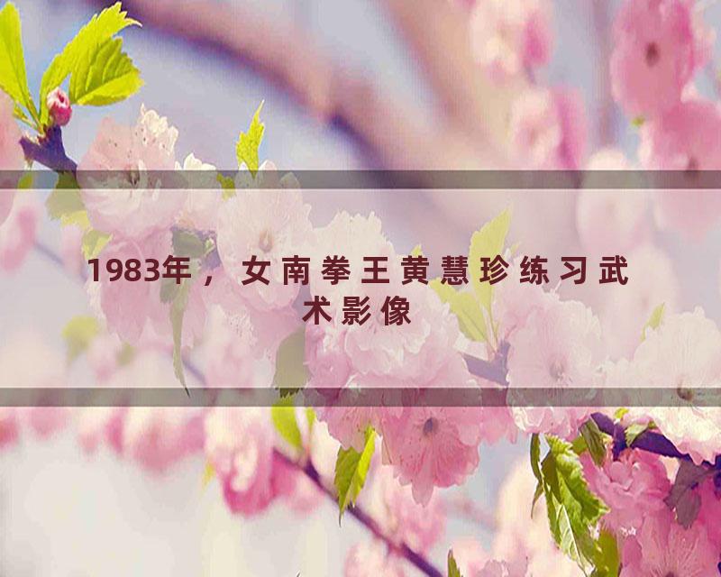 1983年，女南拳王黄慧珍练习武术影像