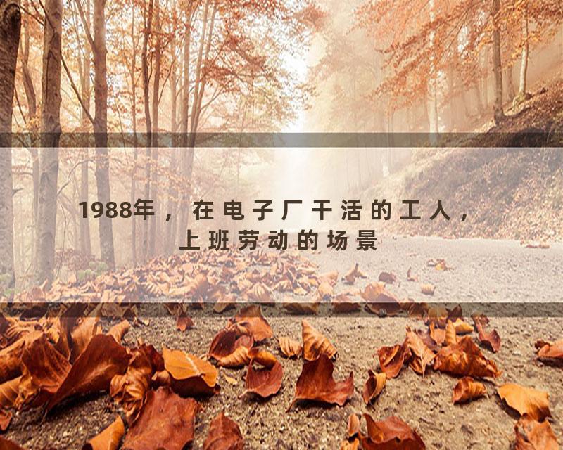 1988年，在电子厂干活的工人，上班劳动的场景