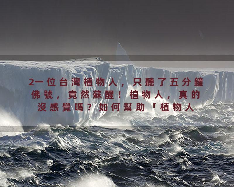 2一位台灣植物人，只聽了五分鐘佛號，竟然蘇醒！植物人，真的沒感覺嗎？如何幫助「植物人」脫離困境？三位植物人真實故事