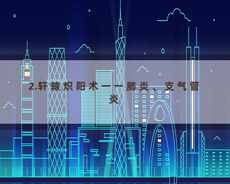 2.轩辕炽阳术一一肺炎、支气管炎