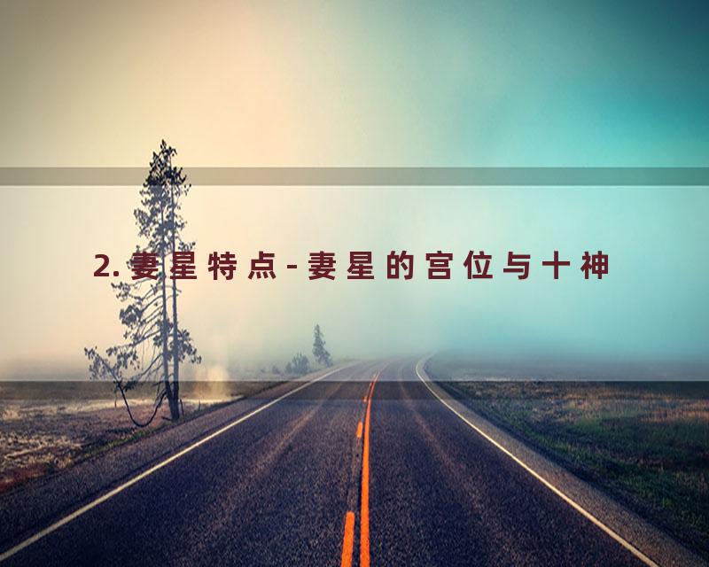 2. 妻星特点- 妻星的宫位与十神