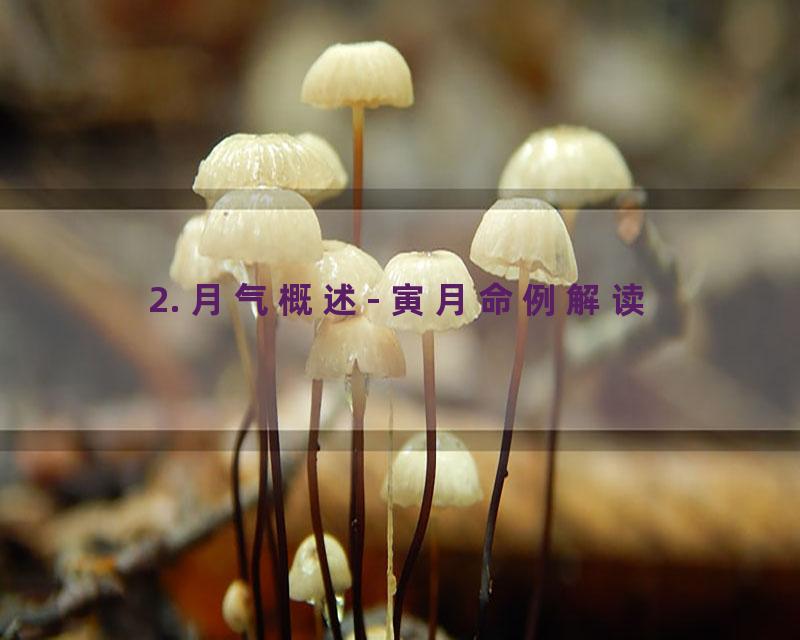 2. 月气概述- 寅月命例解读