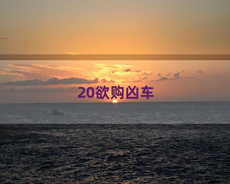 20欲购凶车