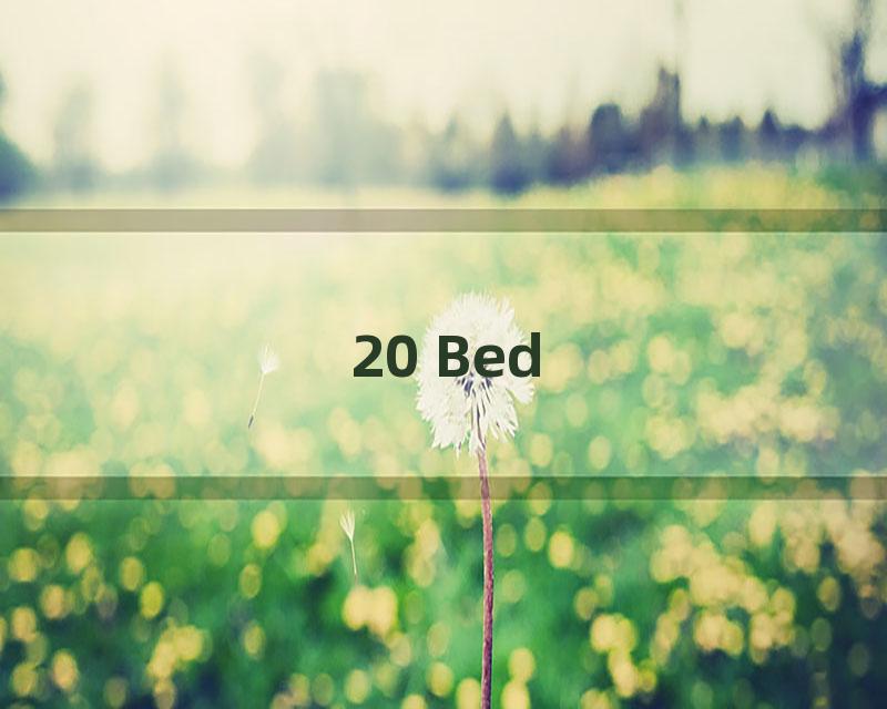 20 Bed