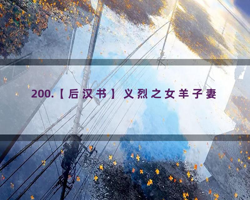 200.【后汉书】义烈之女羊子妻