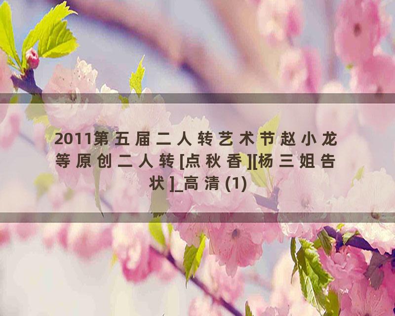 2011第五届二人转艺术节赵小龙等原创二人转[点秋香][杨三姐告状]_高清(1)