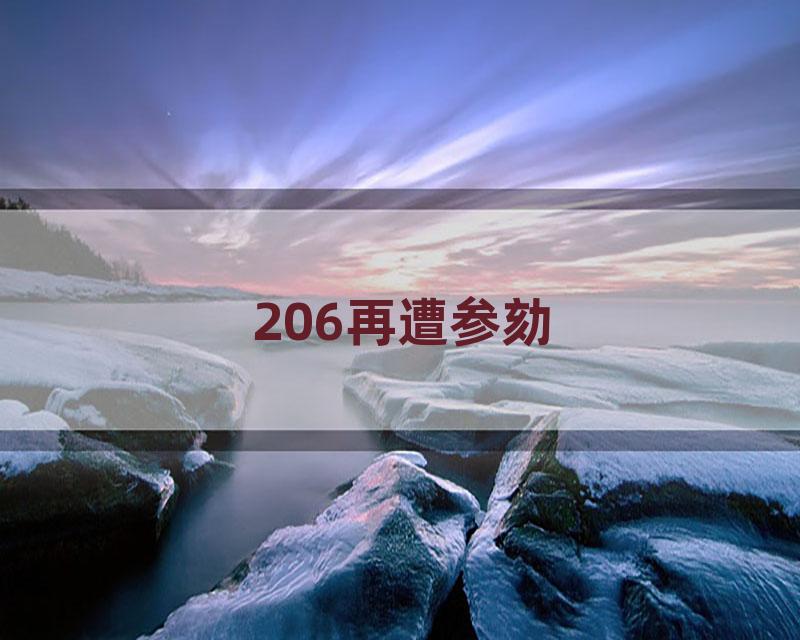 206再遭参劾