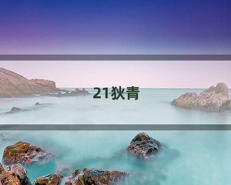 21狄青