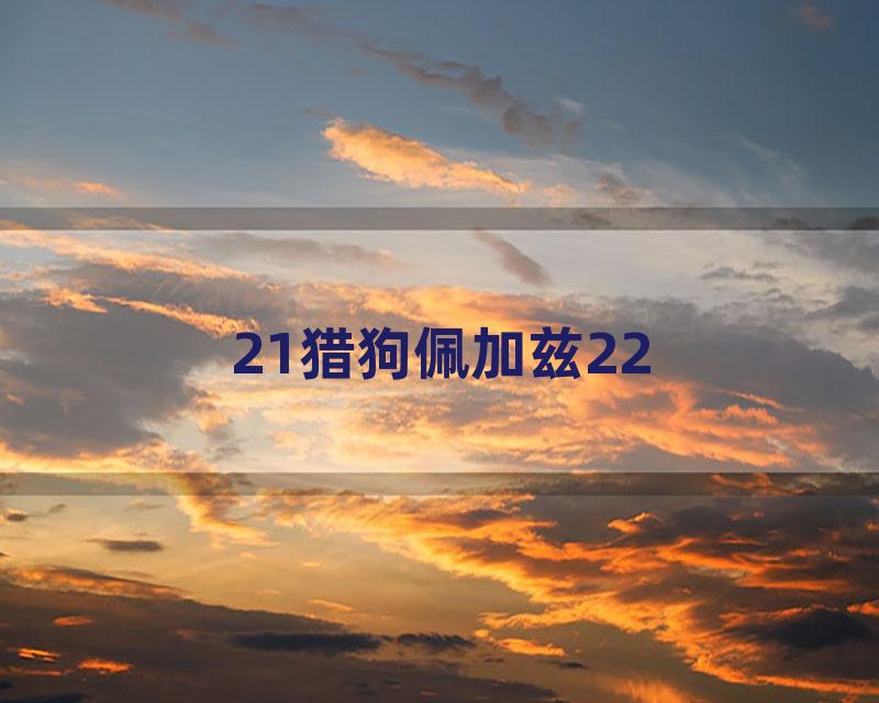 21猎狗佩加兹22