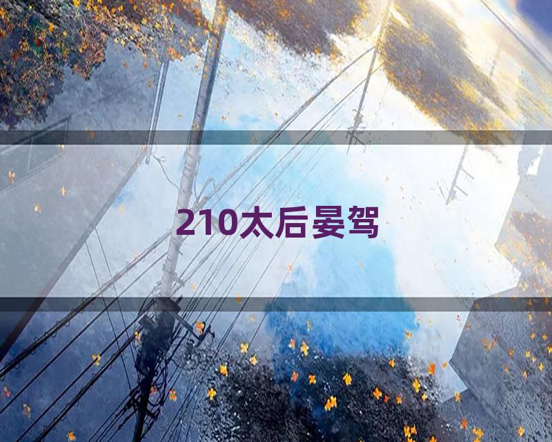 210太后晏驾