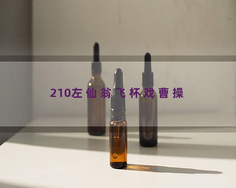 210左仙翁飞杯戏曹操