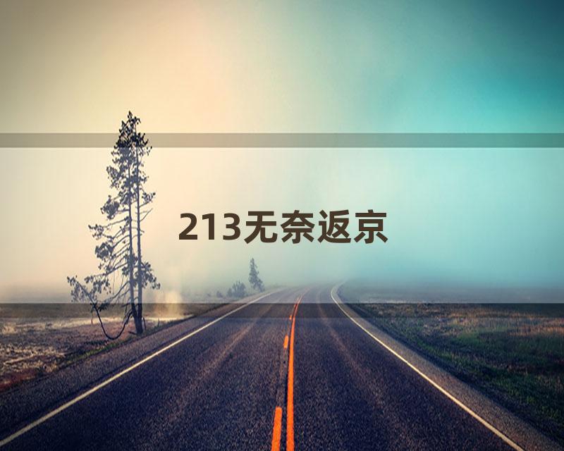 213无奈返京