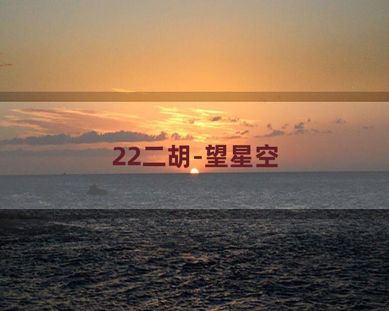 22二胡-望星空