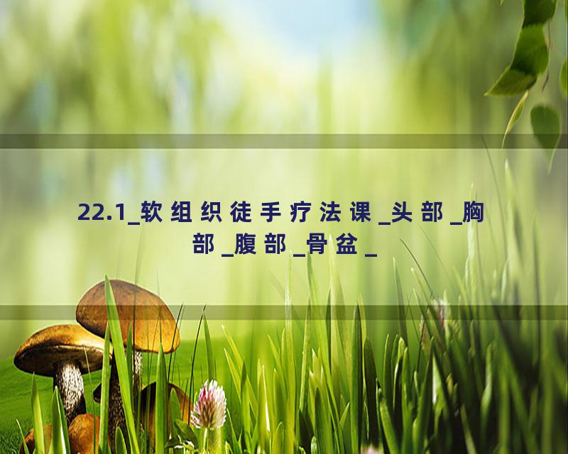 22.1_软组织徒手疗法课_头部_胸部_腹部_骨盆_