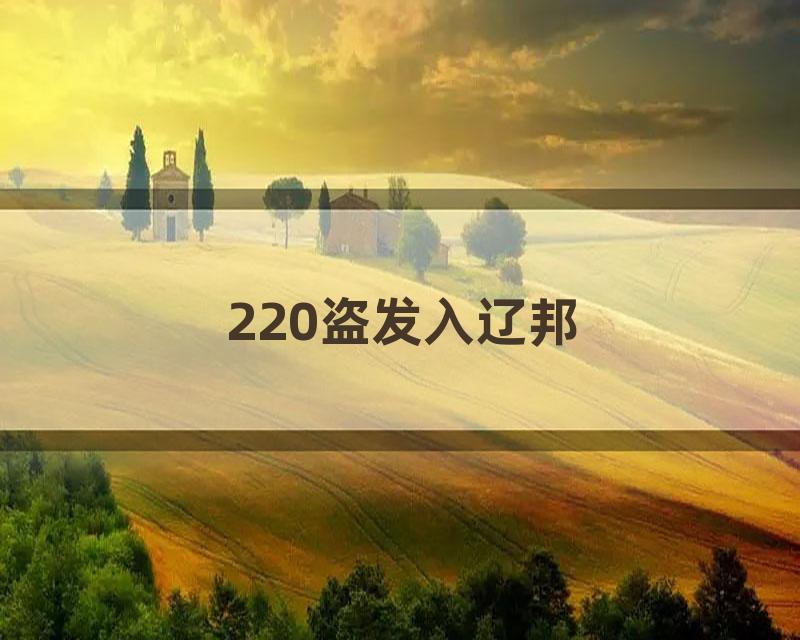220盗发入辽邦