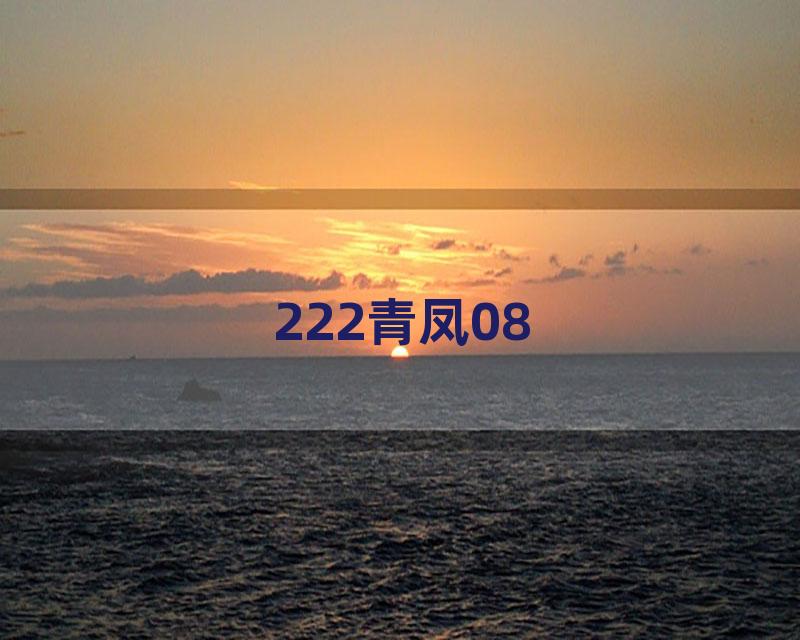 222青凤08