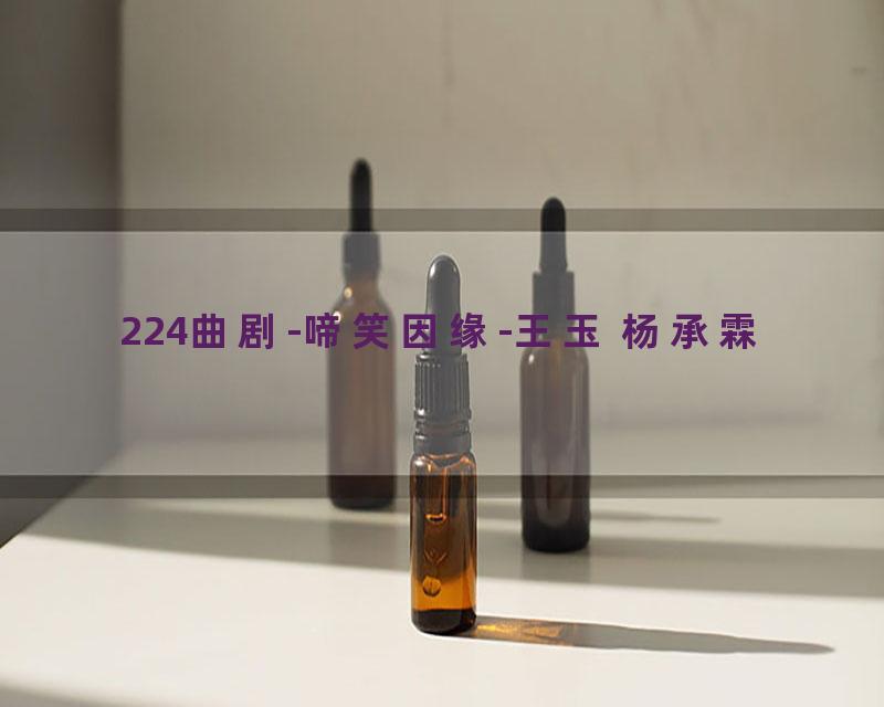 224曲剧-啼笑因缘-王玉 杨承霖