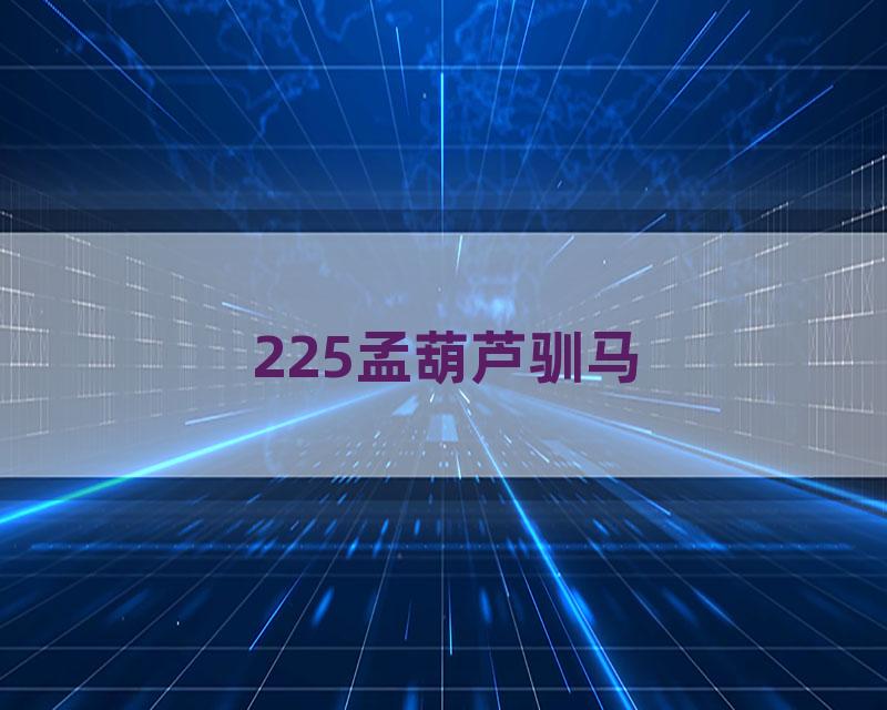 225孟葫芦驯马