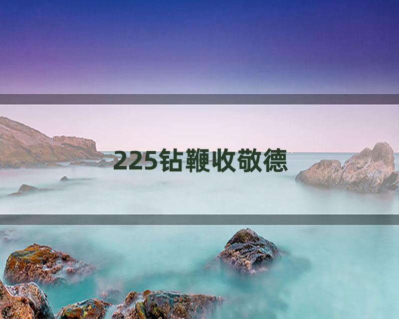 225钻鞭收敬德