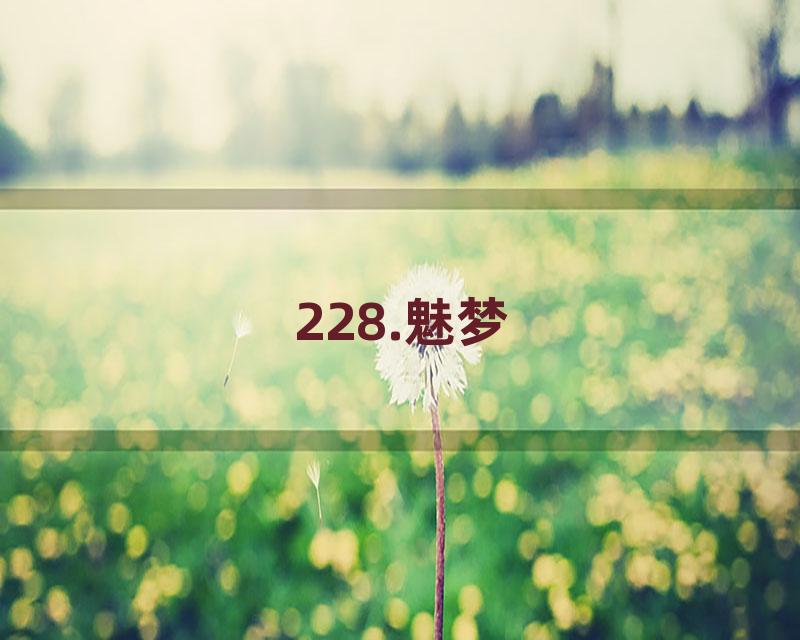 228.魅梦