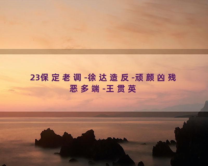 23保定老调-徐达造反-顽颜凶残恶多端-王贯英