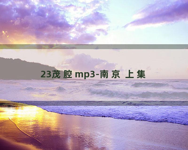23茂腔mp3-南京 上集