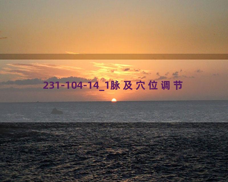 231-104-14_1脉及穴位调节