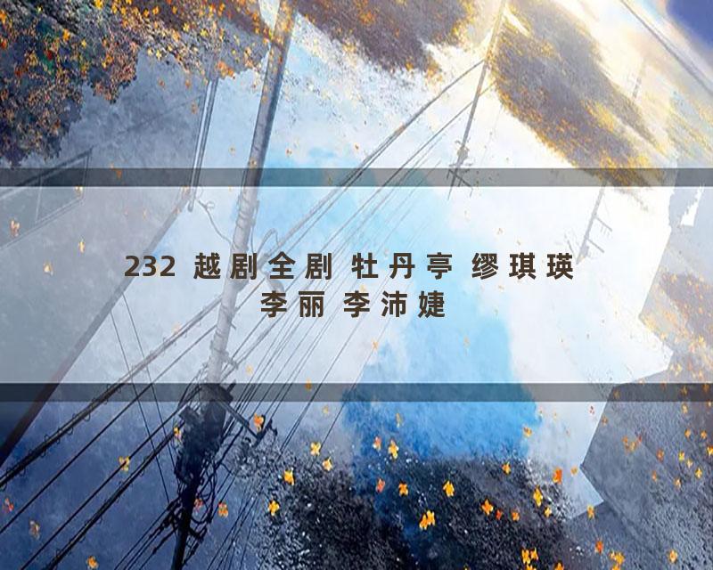 232  越剧全剧 牡丹亭 缪琪瑛 李丽 李沛婕