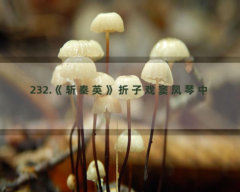 232.《斩秦英》折子戏窦凤琴中