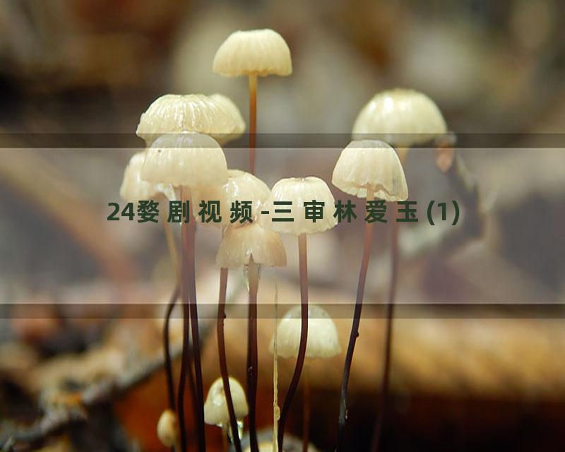 24婺剧视频-三审林爱玉(1)