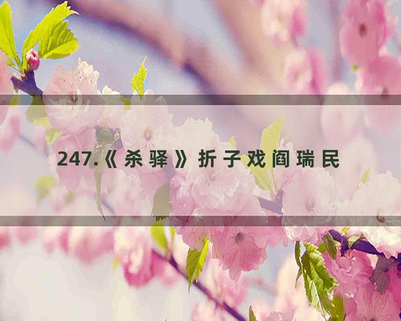 247.《杀驿》折子戏阎瑞民