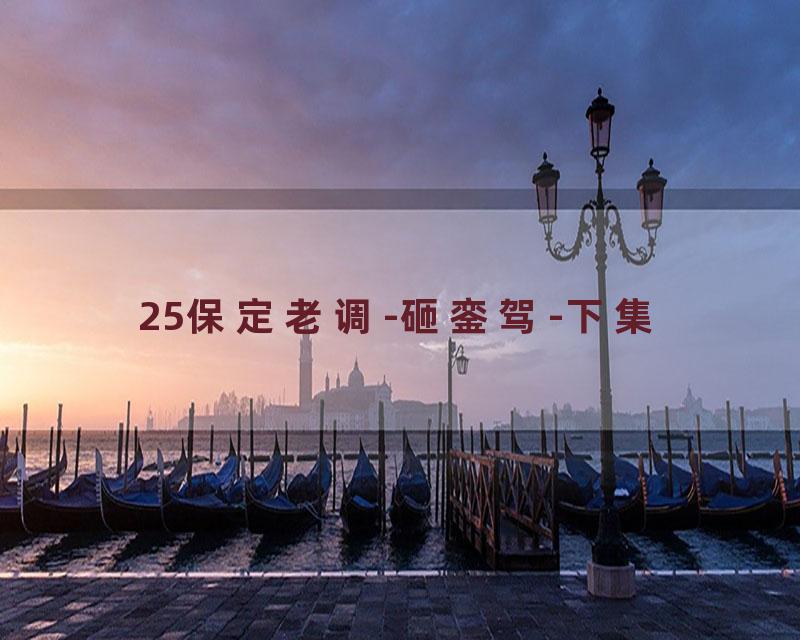 25保定老调-砸銮驾-下集